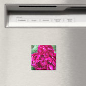 Magnet de pivoine (In Situ (Lave-vaisselle))