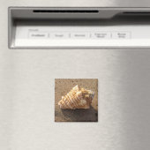 Magnet de plage de sable de coquillage (In Situ (Lave-vaisselle))