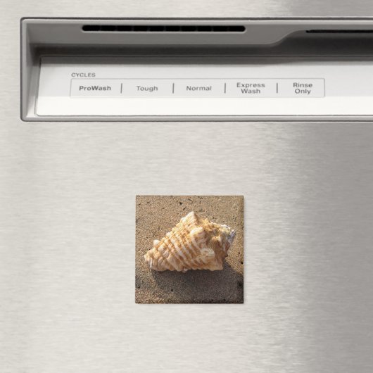 Magnet de plage de sable de coquillage (In Situ (Lave-vaisselle))