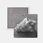 Magnet de plage de sable de coquillage (Recto/Verso)