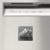 Magnet de plage de sable de coquillage (In Situ (Lave-vaisselle))