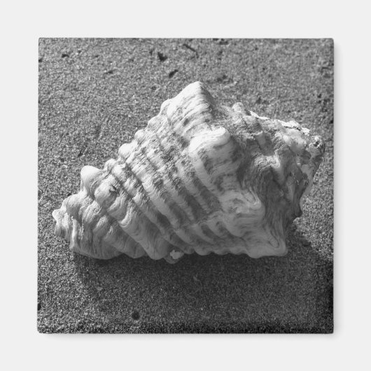 Magnet de plage de sable de coquillage (Devant)