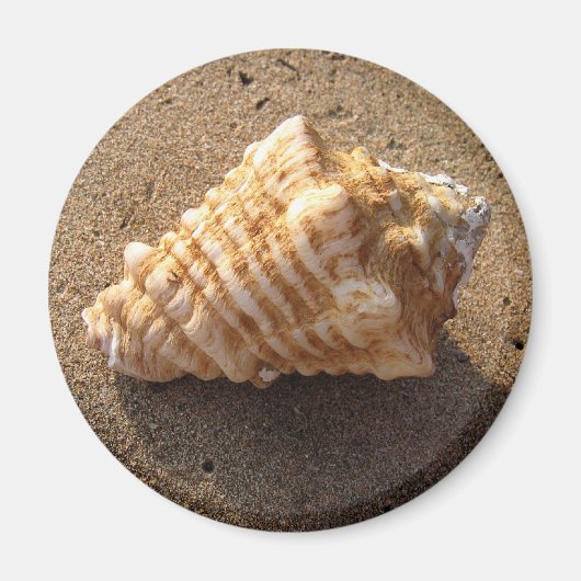 Magnet de plage de sable de coquillage (Devant)