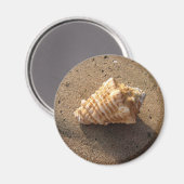 Magnet de plage de sable de coquillage (Recto/Verso)