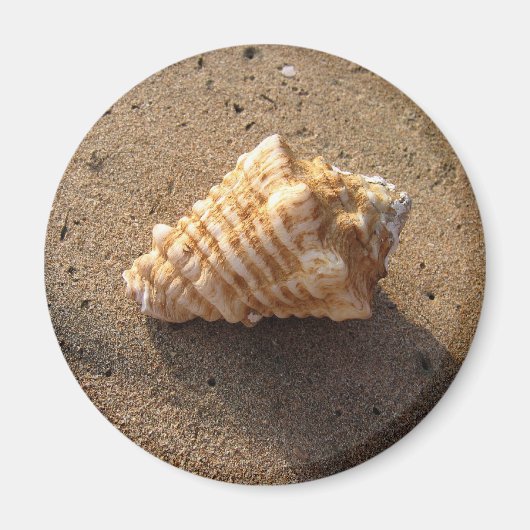 Magnet de plage de sable de coquillage (Devant)