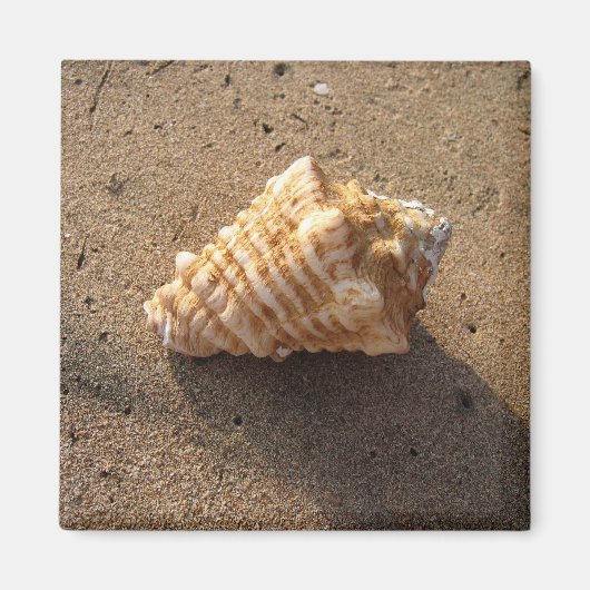 Magnet de plage de sable de coquillage (Devant)