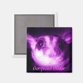 Magnet de planeur magnifique (Recto/Verso)