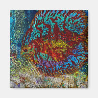 Magnet de poisson de Discus