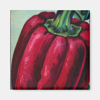 Magnet de poivre rouge vintage