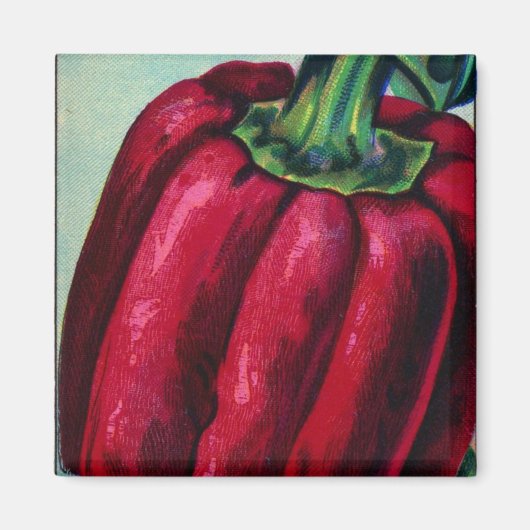 Magnet de poivre rouge vintage (Devant)