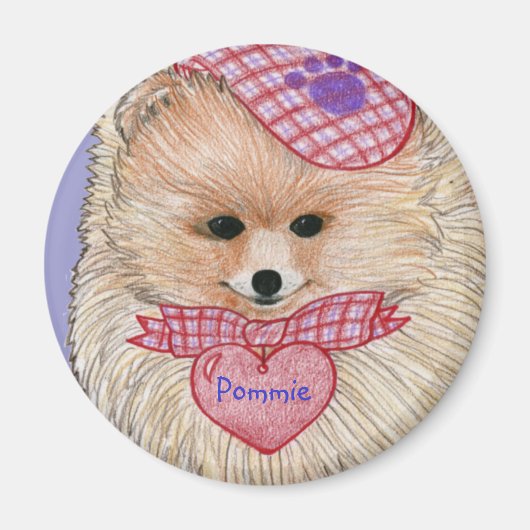 Magnet de Poméranie (Devant)