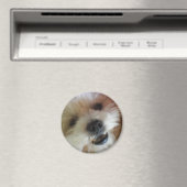 Magnet de pop (In Situ (Lave-vaisselle))