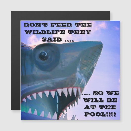 MAGNET DE PORTE DE CROISIÈRE À REQUINS (Devant / Derrière)