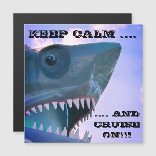 MAGNET DE PORTE DE CROISIÈRE À REQUINS (Devant / Derrière)