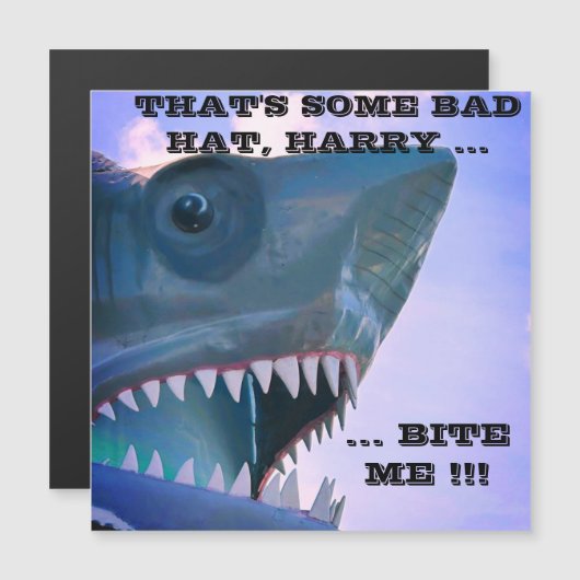 MAGNET DE PORTE DE CROISIÈRE À REQUINS (Devant / Derrière)