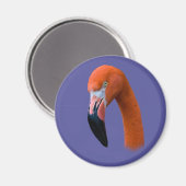 Magnet de portrait de Flamant rose (Recto/Verso)