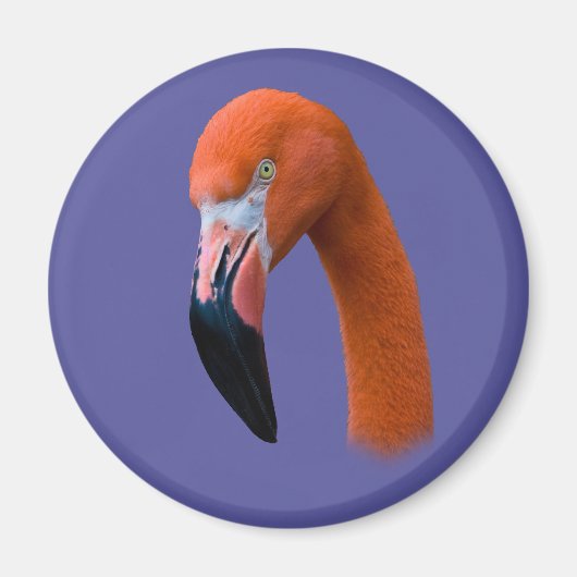 Magnet de portrait de Flamant rose (Devant)