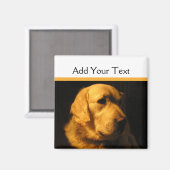 Magnet de portraits Golden Retriever (Recto/Verso)