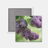 Magnet de printemps (Recto/Verso)