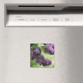 Magnet de printemps (In Situ (Lave-vaisselle))