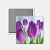 Magnet de printemps de Tulipe pourpre (Recto/Verso)