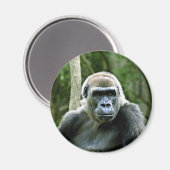 Magnet de profil Gorilla (Recto/Verso)