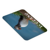 MAGNET DE PUFFIN ISLANDE (Côté Droit)
