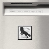 Magnet de puissance friésien 2 (In Situ (Lave-vaisselle))