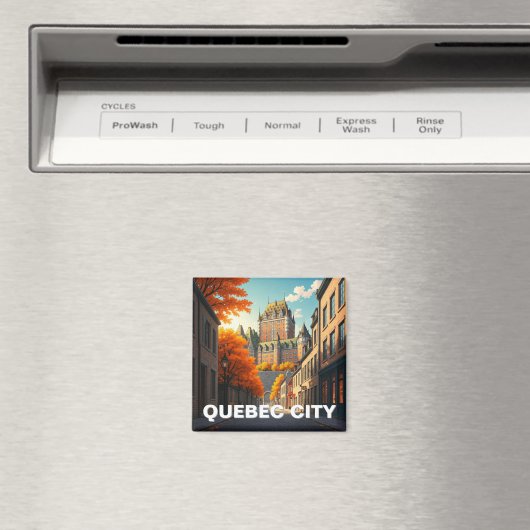 Magnet de Québec (In Situ (Lave-vaisselle))