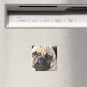 Magnet de race de chien carlin (In Situ (Lave-vaisselle))