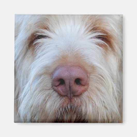 Magnet de réfrigérateur Booper de Luigi (Devant)