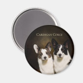 Magnet de réfrigérateur Cardigan Corgi (Recto/Verso)