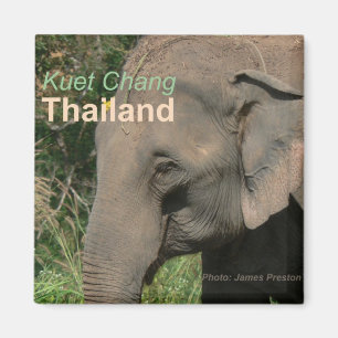 Magnet de réfrigérateur d'éléphant de Kuet Cha