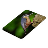 Magnet de réfrigérateur Nuthatch (Côté Gauche)