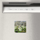 Magnet de réfrigérateur Primrose (In Situ (Lave-vaisselle))