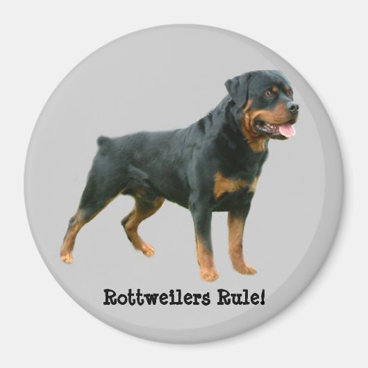 Magnet de règle des Rottweilers (Devant)