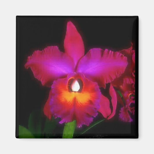 Magnet de rêve orchidée (Devant)