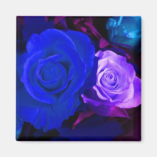 Magnet de Roses bleus pourpres - Personnalisable (Devant)