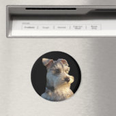 Magnet de Schnauzer miniature (In Situ (Lave-vaisselle))