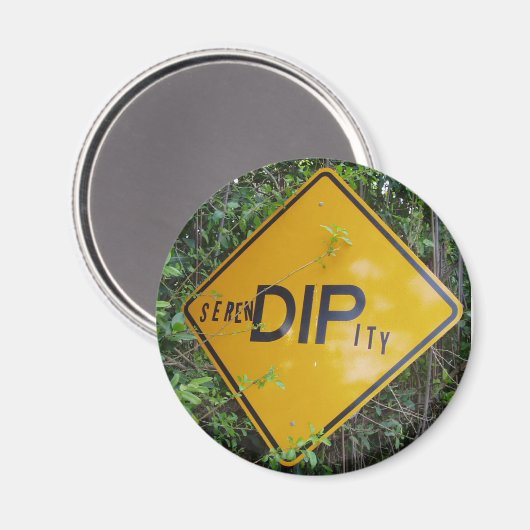 Magnet de séréndipité (Recto/Verso)