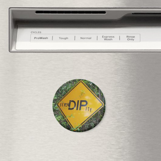 Magnet de séréndipité (In Situ (Lave-vaisselle))