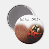 Magnet de sourire (Recto/Verso)