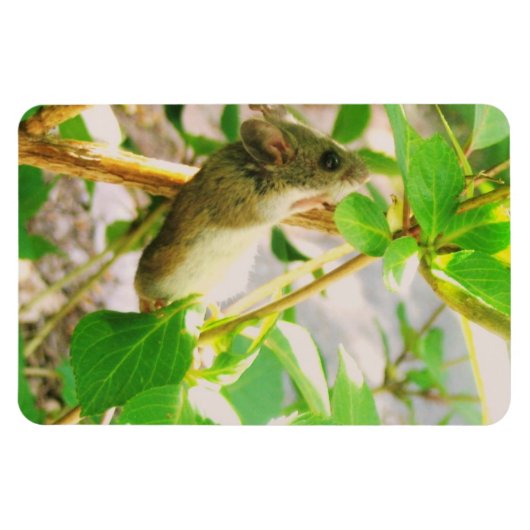 Magnet de souris (Horizontal)