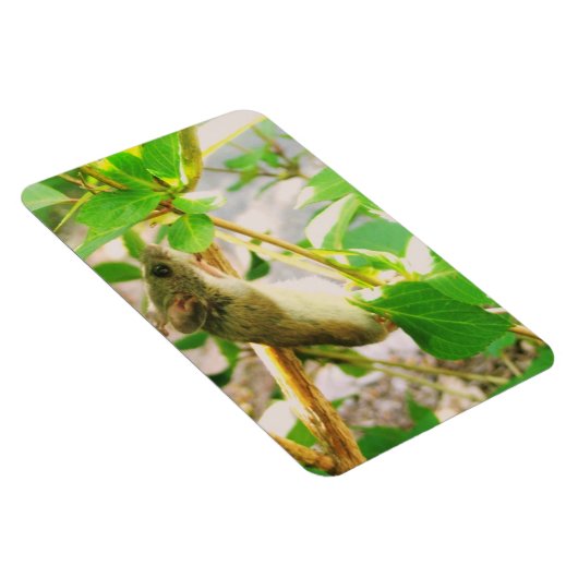 Magnet de souris (Côté Droit)