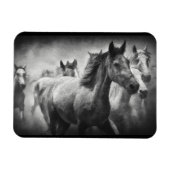 Magnet de stampede de cheval (Horizontal)
