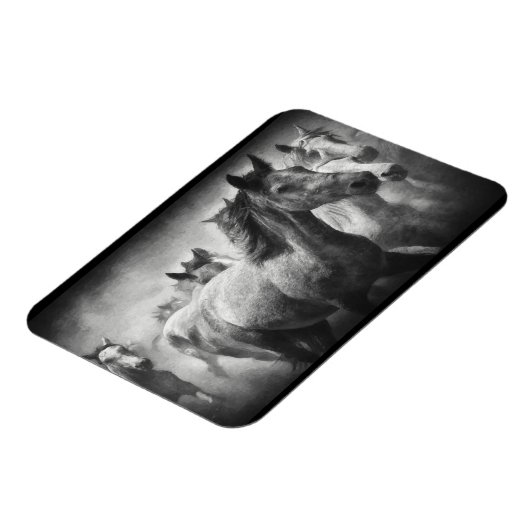 Magnet de stampede de cheval (Côté Gauche)