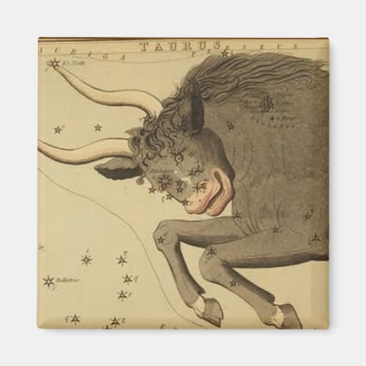Magnet de Taurus (Devant)