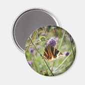 Magnet de teigne de tigre de Jersey (Recto/Verso)