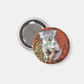 Magnet de temps de collation Koala (Recto/Verso)