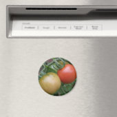 Magnet de tomates orange et rouge (In Situ (Lave-vaisselle))